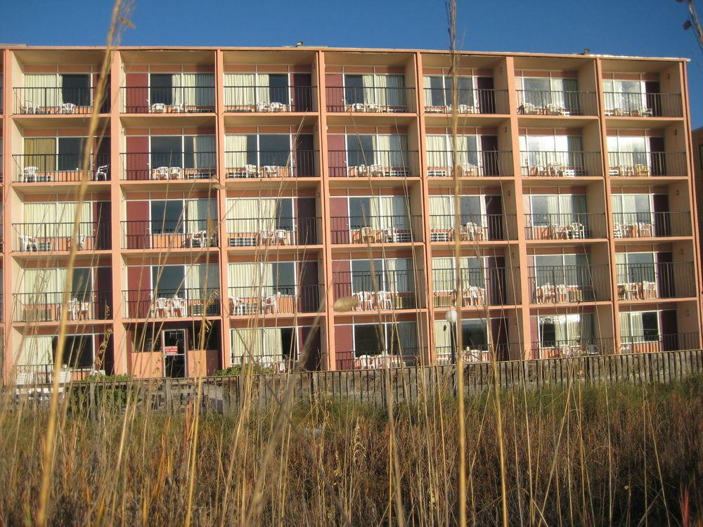 شاطئ نورث ميرتل Oasis Hotel المظهر الخارجي الصورة